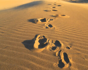  Iᵉʳ DIMANCHE DE CARÊME