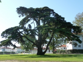 Réunion Journée Paroissiale -  Kermesse