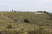 Journée sur les chemins de Saint Jacques avec les  2