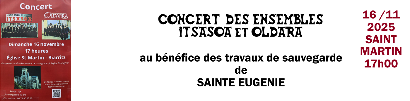 concert 17/11