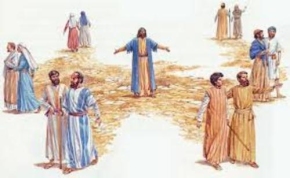 XIVᵉ DIMANCHE DU TEMPS ORDINAIRE