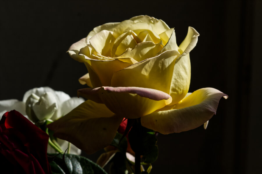 Fleurir les églises